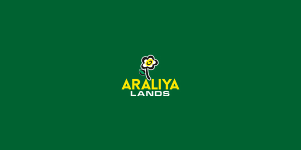 20250605121456the-annual-pilgrimages-organized-by-araliya-group-and-companies.jpg