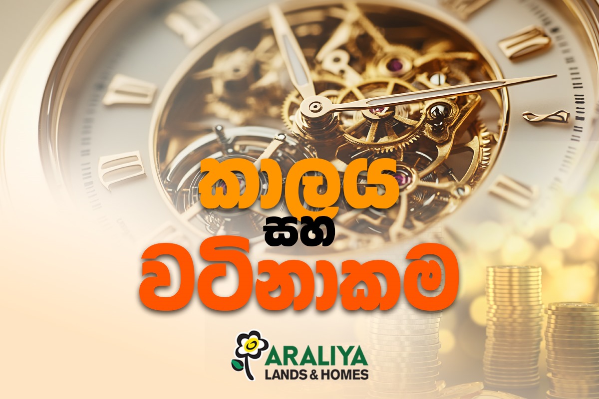 Smart Investment Idea 2025 with Araliya Lands & Homes